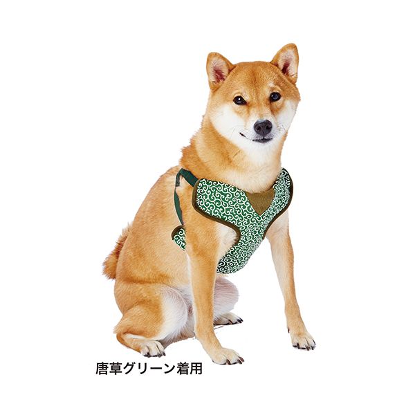 Petio 犬雅 唐草ベストハーネス S グリーン 犬具/ハーネス【代引不可】