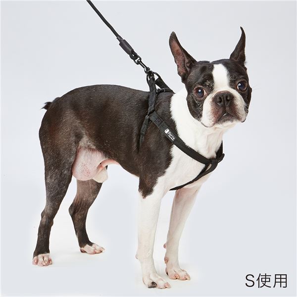 （まとめ）Portaハーネス S ブラック【×3セット】 (犬用品/ハーネス)【代引不可】