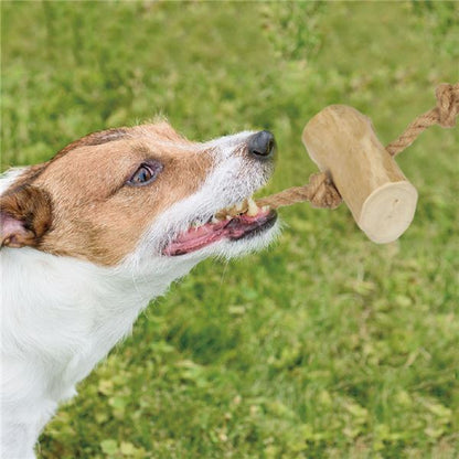 （まとめ） カフェウッド タグ M （ペット用品・犬用） 【×2セット】【代引不可】