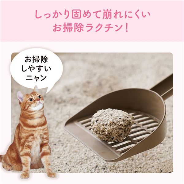 （まとめ）大王製紙 キミおもい カチッと固まる ネコ砂 5L （猫 衛生用品／猫砂） 【×2セット】【代引不可】