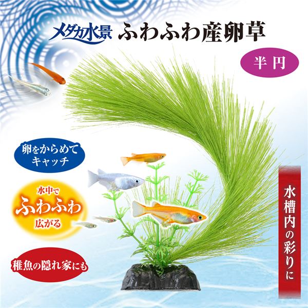 （まとめ）メダカ水景 ふわふわ産卵草 半円【×3セット】 (観賞魚/水槽用品)【代引不可】