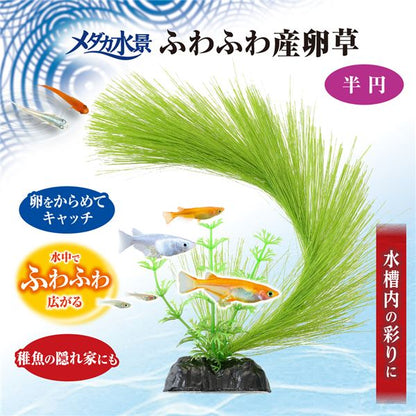 （まとめ）メダカ水景 ふわふわ産卵草 半円【×3セット】 (観賞魚/水槽用品)【代引不可】
