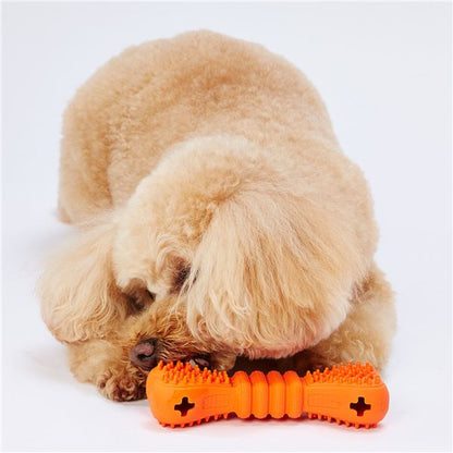 （まとめ）TREATS LOVER ボーン S【×3セット】 (犬用玩具)【代引不可】