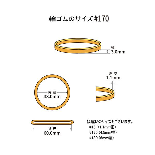 （まとめ） 共和 オーバンド#170 内径38mm 50g入 透明袋 GGA-N-001 1袋 【×3セット】