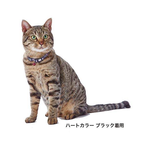 （まとめ）CAT COLLAR ボーダードットカラー ピンク【×5セット】 (猫用品/首輪)【代引不可】