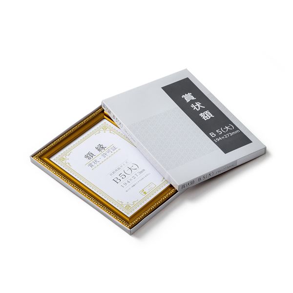 樹脂製 金色賞状額 金消 R 箱入 B5 大） 収納寸法：194×273mm 賞状 額 表彰状 卒業証書 免許書 許可証 額縁 フレーム