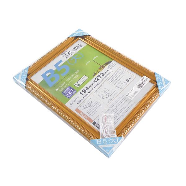樹脂製 金色賞状額 金消 R SP B5 大） 収納寸法：194×273mm 賞状 額 表彰状 卒業証書 免許書 許可証 額縁 フレーム