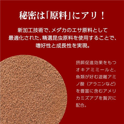 (まとめ）メダカ元気 彩姫 成長用 40g【×5セット】（ペット用品）【代引不可】