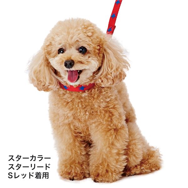 （まとめ）メリカジ スターリード S レッド【×3セット】 (犬用品/リード)【代引不可】