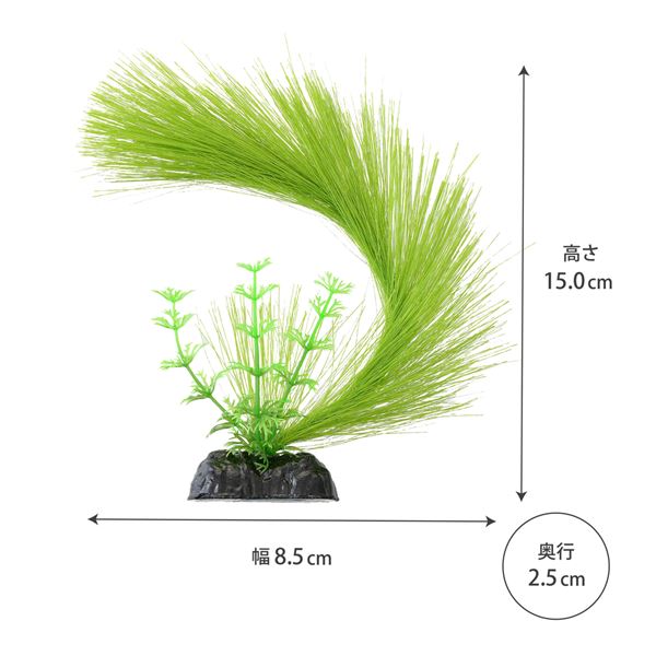（まとめ）メダカ水景 ふわふわ産卵草 半円【×3セット】 (観賞魚/水槽用品)【代引不可】
