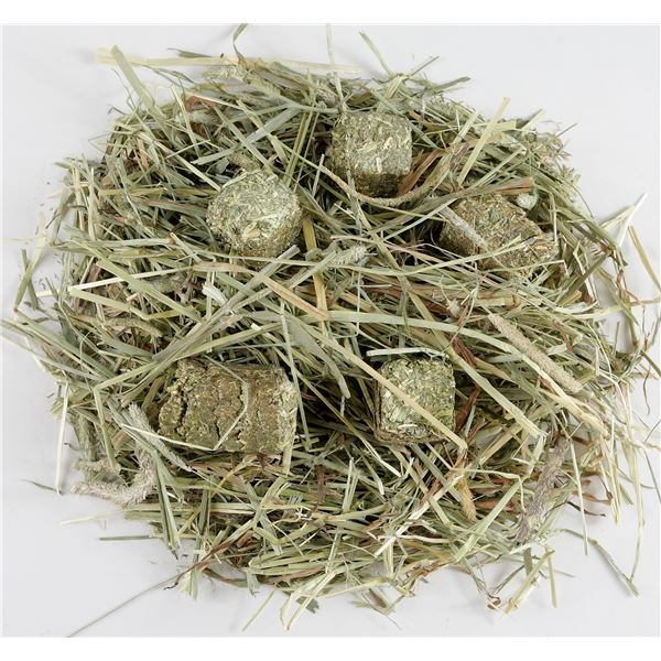 (まとめ）フレッシュチモシー 1.3kg【×2セット】（ペット用品）【代引不可】