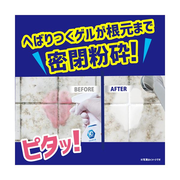 リベルタカビダッシュ 壁ピタッ！ゲルスプレー 300ml 1本