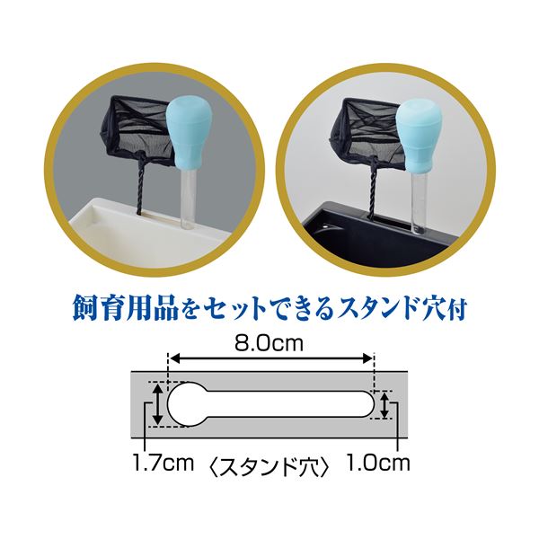 メダカ元気 メダカのための飼育箱 白350 （観賞魚用品／水槽用品）【代引不可】