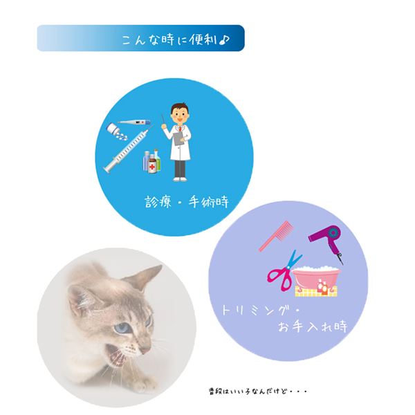 （まとめ） キャットマズル S 【×2セット】 （ペット用品）【代引不可】