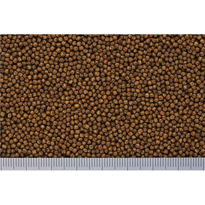 （まとめ）キョーリン リュウキンゴールド 200g 金魚用フード 【×3セット】【代引不可】