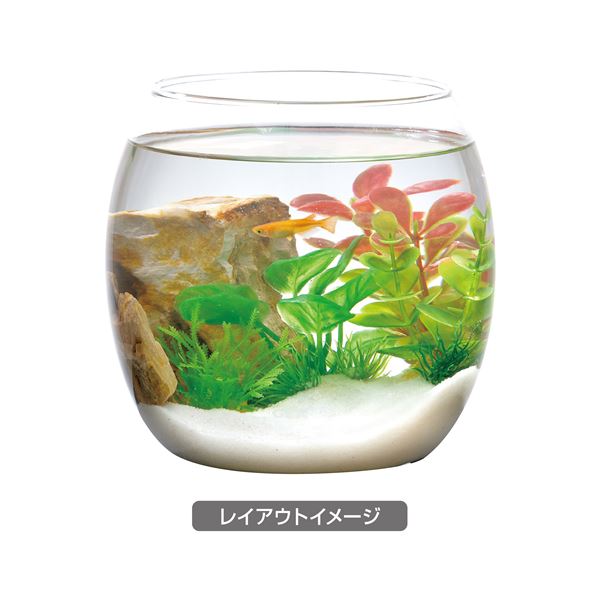 （まとめ）癒し水景 ボトルプランツ アヌビアス【×3セット】 (観賞魚/水槽用品)【代引不可】
