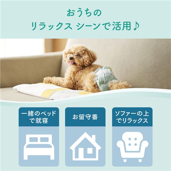 大王製紙 キミおもい リラックスウェア L 32枚 （犬用 衛生用品／紙オムツ）【代引不可】