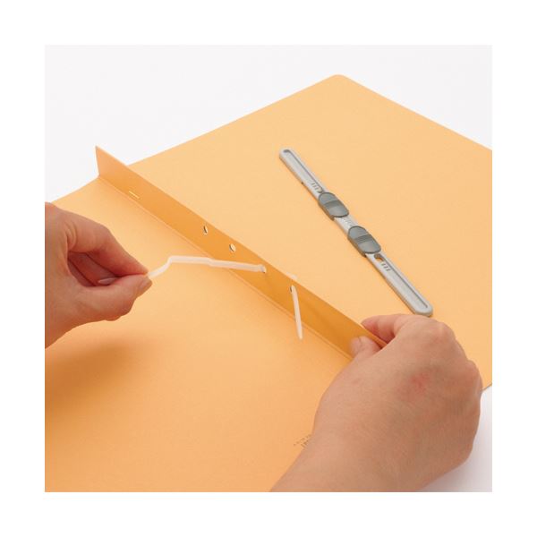 （まとめ） ライオン事務器フラットファイル（環境） 樹脂押え具 A3ヨコ 150枚収容 背幅18mm 水 A-598KA3E 1冊 【×5セット】