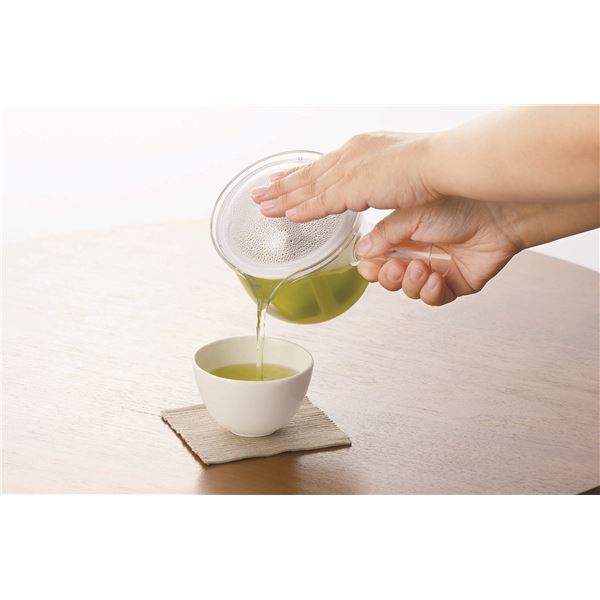 クリアティーポット L ポリエステルメッシュ 急須タイプ480ml TW-3741