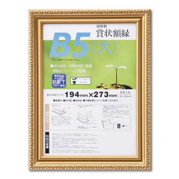 樹脂製 金色賞状額 金消 R SP B5 大） 収納寸法：194×273mm 賞状 額 表彰状 卒業証書 免許書 許可証 額縁 フレーム