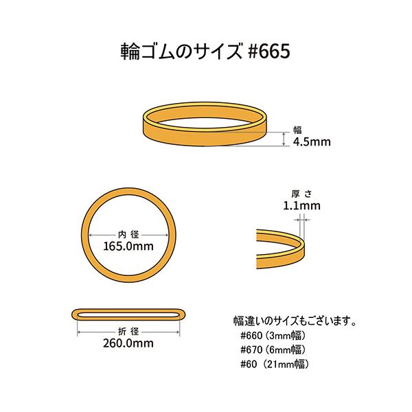 （まとめ） 共和 オーバンド#665 内径165mm 50g入 透明袋 GSA-N-033 1袋 【×2セット】