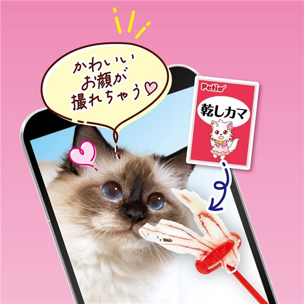 （まとめ）猫用おもちゃ ペティオのおいしい猫じゃらし 【×12セット】【代引不可】