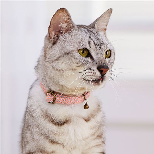 （まとめ）フラッシュソフトキャットカラー ピンク【×3セット】 (猫用品/首輪)【代引不可】