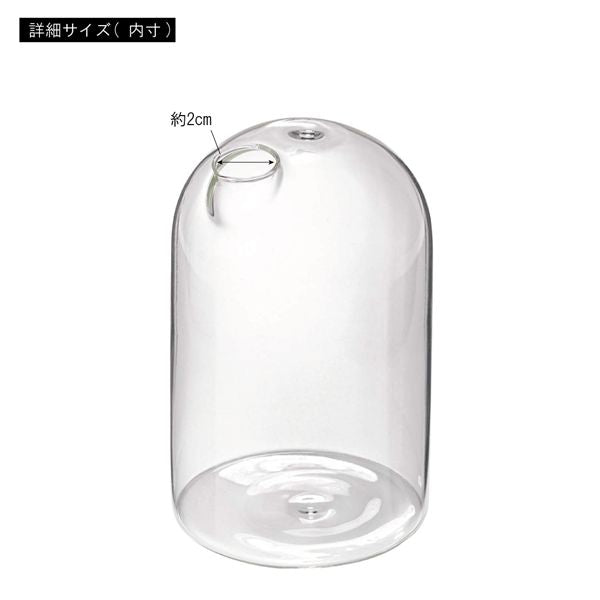ガラスベース 約幅8×奥行8×高さ12.5cm クリア リビング ダイニング インテリア雑貨 インテリア用品 完成品