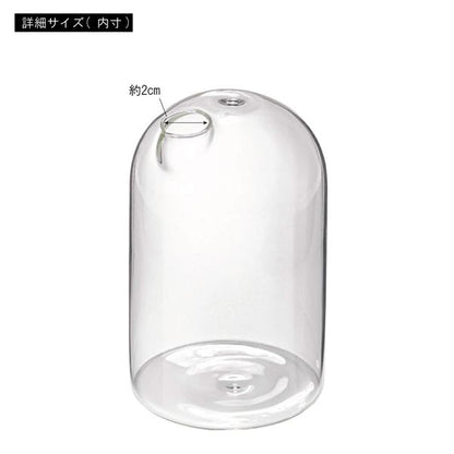 ガラスベース 約幅8×奥行8×高さ12.5cm クリア リビング ダイニング インテリア雑貨 インテリア用品 完成品