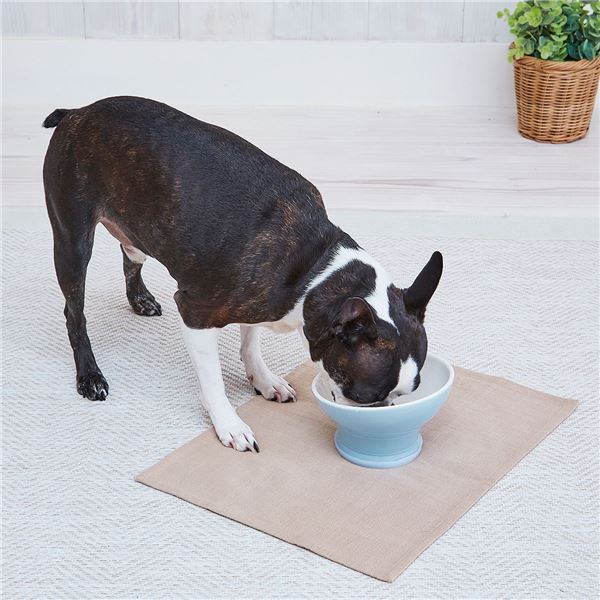 犬用食器 Porta 脚付き食器 M【代引不可】