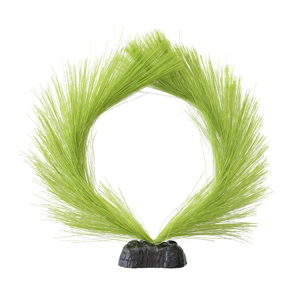 （まとめ）メダカ水景 ふわふわ産卵草 円【×3セット】 (観賞魚/水槽用品)【代引不可】