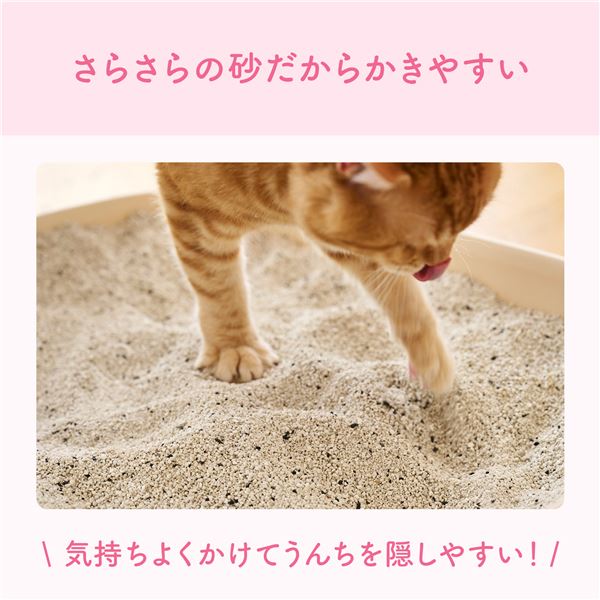 （まとめ）大王製紙 キミおもい カチッと固まる ネコ砂 5L （猫 衛生用品／猫砂） 【×2セット】【代引不可】