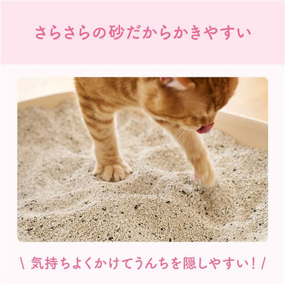 （まとめ）大王製紙 キミおもい カチッと固まる ネコ砂 5L （猫 衛生用品／猫砂） 【×2セット】【代引不可】