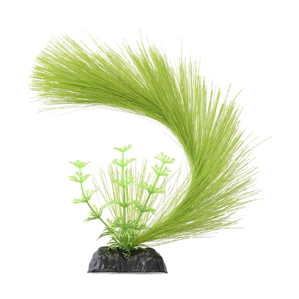 （まとめ）メダカ水景 ふわふわ産卵草 半円【×3セット】 (観賞魚/水槽用品)【代引不可】