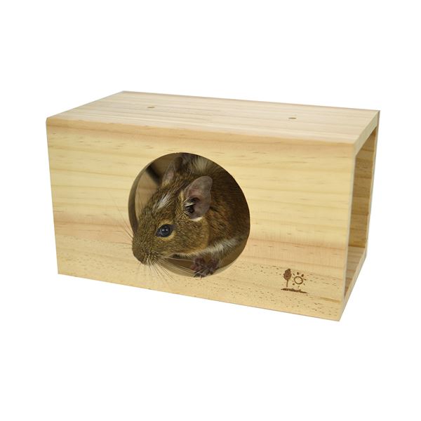 （まとめ）スクエアトンネル M【×2セット】 (小動物用品)【代引不可】