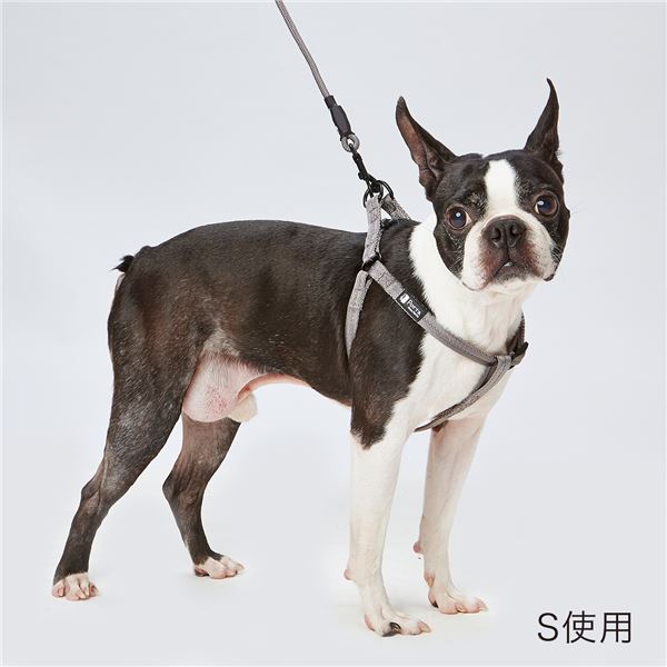 （まとめ）Portaハーネス S シルバーグレー【×3セット】 (犬用品/ハーネス)【代引不可】