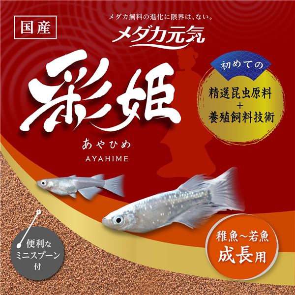 (まとめ）メダカ元気 彩姫 成長用 40g【×5セット】（ペット用品）【代引不可】