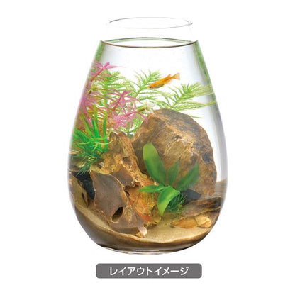 （まとめ）癒し水景 ボトルプランツ ミリオフィラム【×3セット】 (観賞魚/水槽用品)【代引不可】