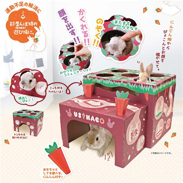 （まとめ） ウサハコ にんじん畑 【×2セット】 小動物用品【代引不可】