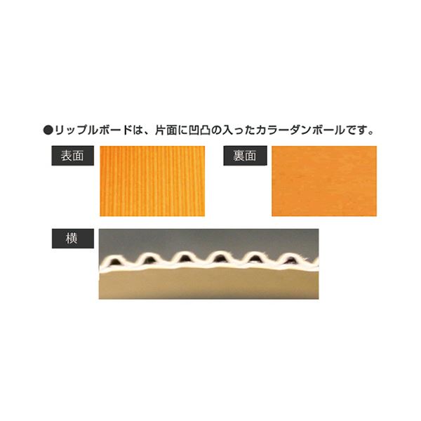 （まとめ） ヒサゴカラーダンボール リップルボード B3 ピンク RB01 1パック（3枚） 【×2セット】