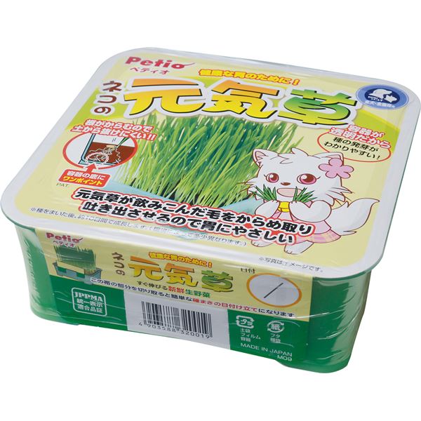 （まとめ）ネコの元気草【×5セット】 (猫用品)【代引不可】