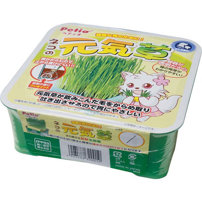（まとめ）ネコの元気草【×5セット】 (猫用品)【代引不可】