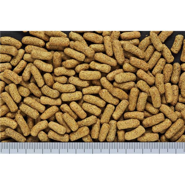 （まとめ）キョーリン ひかり ハムハム 100g ハムスターフード 【×10セット】【代引不可】