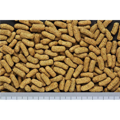 （まとめ）キョーリン ひかり ハムハム 100g ハムスターフード 【×10セット】【代引不可】