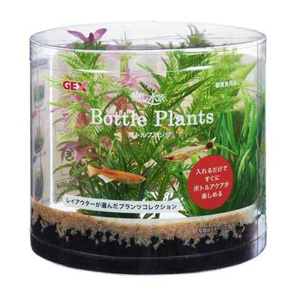 （まとめ）癒し水景 ボトルプランツ ミリオフィラム【×3セット】 (観賞魚/水槽用品)【代引不可】