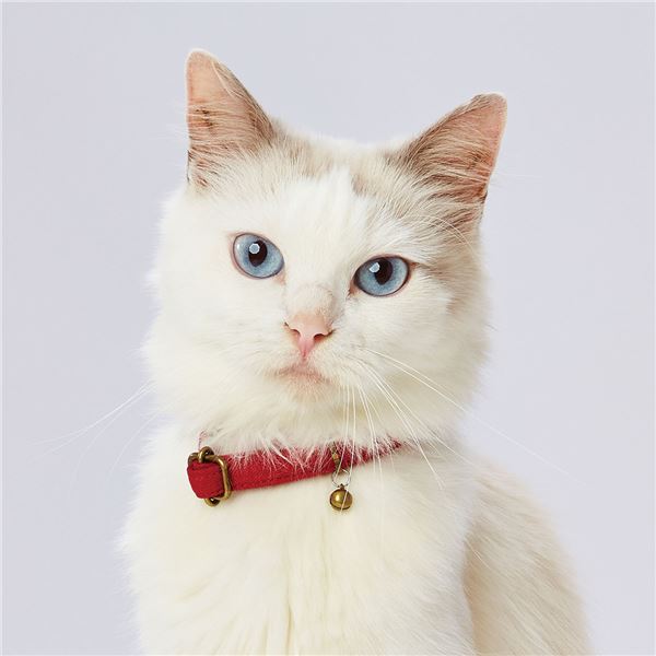 （まとめ）necoco キャットカラー レッド【×3セット】 (猫用品/首輪)【代引不可】
