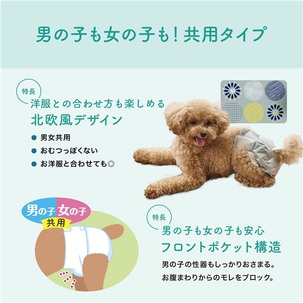 大王製紙 キミおもい リラックスウェア S 36枚 （犬用 衛生用品／紙オムツ）【代引不可】