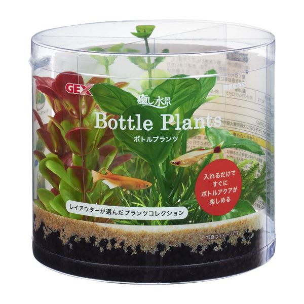 （まとめ）癒し水景 ボトルプランツ アヌビアス【×3セット】 (観賞魚/水槽用品)【代引不可】