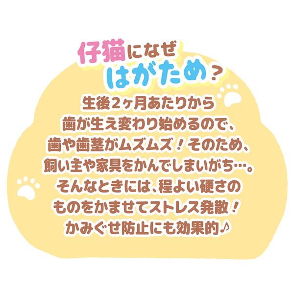 （まとめ）仔猫用 はがためフィッシュ猫じゃらし【×5セット】 (猫用玩具)【代引不可】