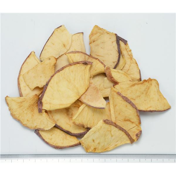 （まとめ）三晃商会 サニーメイド アップル 20g 小動物用 栄養補助食品 【×5セット】【代引不可】